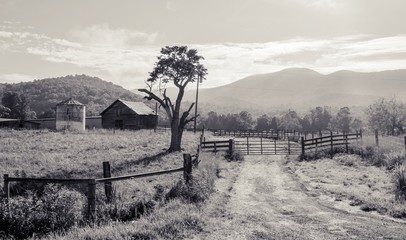 Dirt Driveway to barn with rolling hills in background in black and white