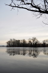 Spring on the pond.