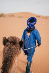 a bedouin in traditional dress in the sahara desert with his camel