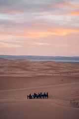 Fototapeta na wymiar A caravan walking in the endless expanse of the Sahara in Morocco at sunset.
