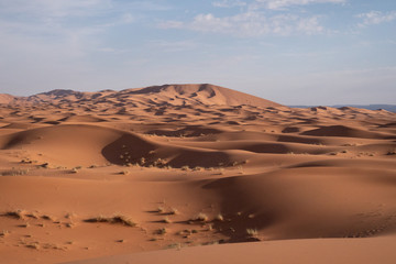 Fototapeta na wymiar Beautiful Sahara Desert Dunes on a sunny day in the Erg Chebli in Morocco