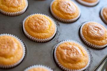 Freshly baked cornbread in paper cups just taken from the oven