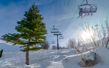 Ski lift with skiers over snowy mountain with tree