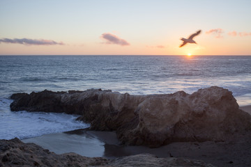 Malibu Beach