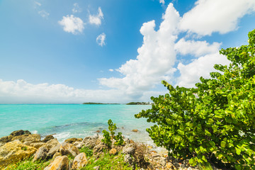 Fototapeta na wymiar Turquoise water in Le Gosier shore in Guadeloupe
