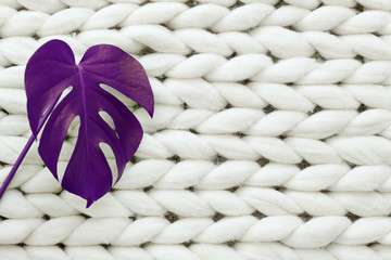 Monstera leaves on white texture merino blanket backdrop