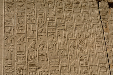 Egyptian ancient hieroglyphs on the stone wall