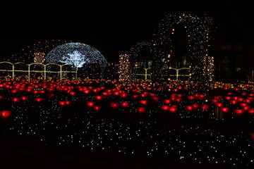 あしかがフラワーパーク　イルミネーション