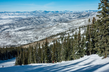 The ski slopes of Steamboat Springs, in the Rocky Mountains of Colorado, lined by Pine and Aspen trees. 