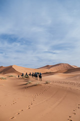 Fototapeta na wymiar a caravan of camels in the sahara desert in africa