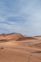 Sand dunes in the sahara desert in africa