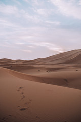 Fototapeta na wymiar Sand dunes in the sahara desert in africa