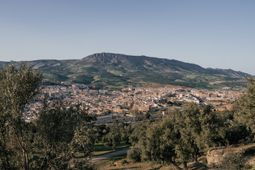 Fototapeta na wymiar aerial landscape shot of the cityscape of fez, morocco