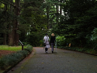 couple walking in the park