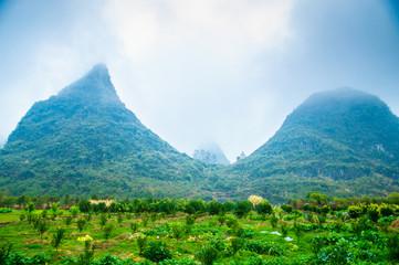 Obraz premium Mountain scenery in the mist