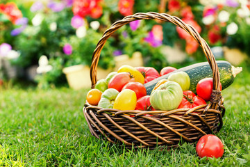Vegetables in basket at the garden, outdoor
