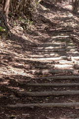 山の階段