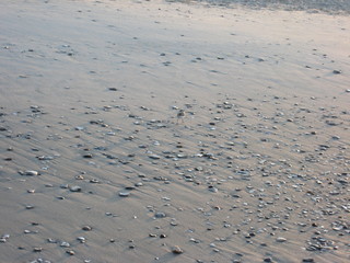 Beach texture