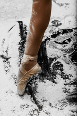 young dancing girl ballerina