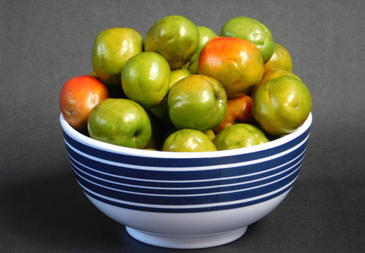 Jocotes ricos