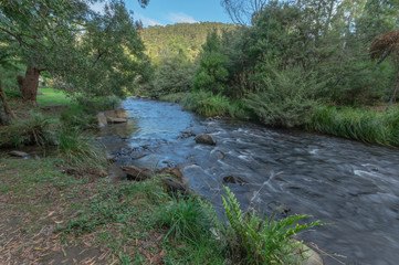 Upper Yarra Upstream