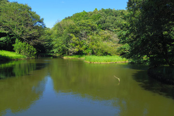 神奈川県立座間谷戸山公園の風景