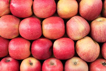 texture background made up of a pule of colorful fresh healthy apples