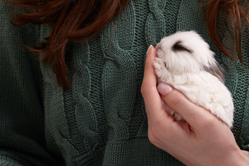 Baby bunny rabbit sleeping in hands