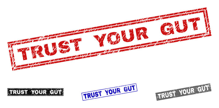 Grunge TRUST YOUR GUT rectangle stamp seals isolated on a white background. Rectangular seals with grunge texture in red, blue, black and gray colors.