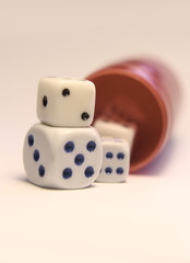 dices photo detail