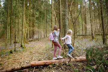 Two cute young sisters having fun during forest hike on beautiful early spring day. Active family leisure with kids.