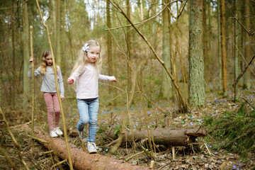 Two cute young sisters having fun during forest hike on beautiful early spring day. Active family leisure with kids.