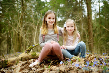 Two cute young sisters having fun during forest hike on beautiful early spring day. Active family leisure with kids.