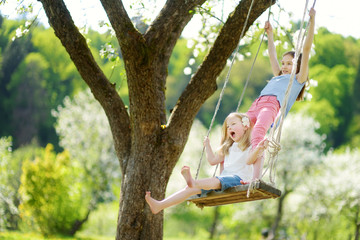 Two cute sisters having fun on a swing in blossoming old apple tree garden outdoors on sunny spring...