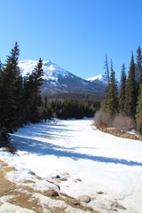 Winter Along The Miette River, Jasper National Park, Alberta