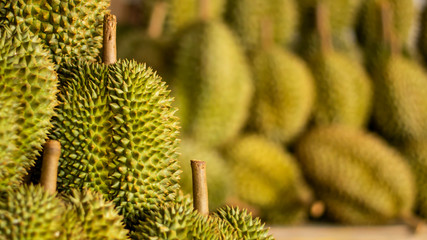 Durian fruit in the market