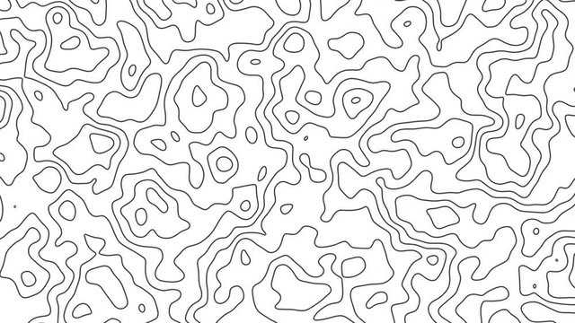 Seamless loop fractal lines background. Topographic map like abstract backdrop