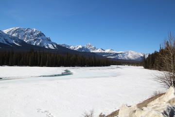 Fototapeta premium Snowy Athabasca River, Jasper National Park, Alberta