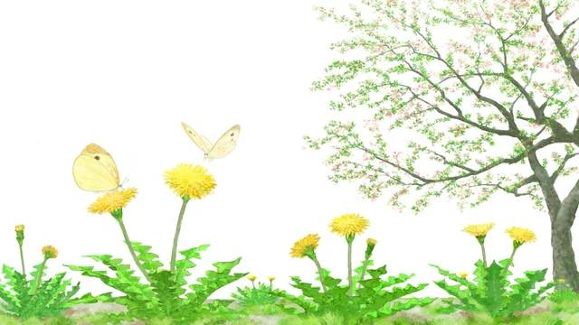 モンシロチョウとタンポポ 葉桜のイラスト Stock Photo Adobe Stock モンシロチョウとタンポポ 葉桜のイラスト Stock Photo Adobe Stock