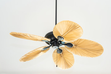 Electric ceiling fan decoration inteior