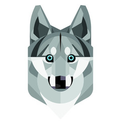Flat geometric husky cute dog face. vector illustration isolated on white