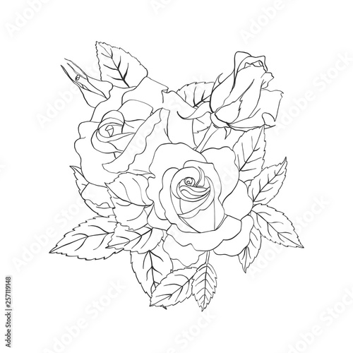 "Hand drawn sketch of a bouquet of roses. Template flowers outline for