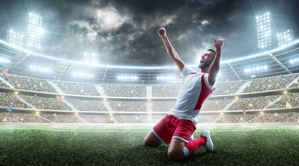 Fototapeta na wymiar Soccer wins. Professional soccer player celebrates winning the open stadium. Sport. 3D stadium