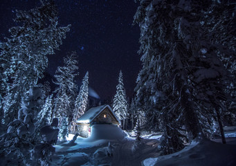 Дом в Лесу (House in the Forest)