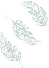 Hand-drawn feathers with doodle patterns. Hand draw illustration.