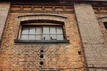 レンガの壁と窓