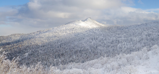 Fototapeta na wymiar Pushkinskaya mountain