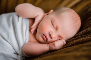newborn boy is sleeping. brown background