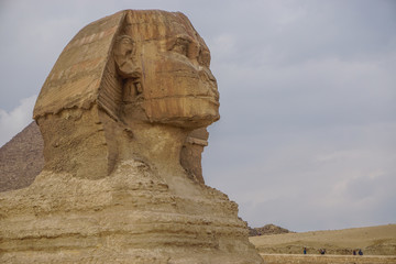 Fototapeta na wymiar Giza, Egypt: Close-up profile of the Sphinx at the Khufu Pyramid Complex.