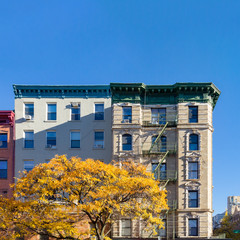 Colorful Fall Tree and Apartment Building in the East Village of New York City